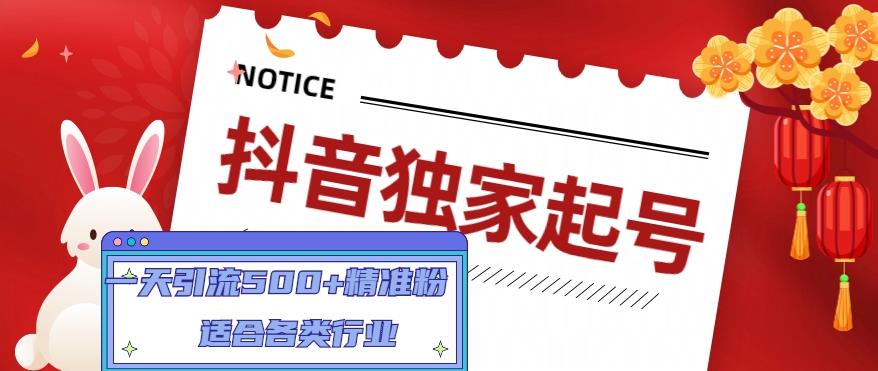 抖音独家起号，一天引流500+精准粉，适合各类行业（9节视频课）-吗喽副业资源站