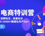 美团电商特训营:美团·店群玩法,无脑铺货月产出6000-15000+精细化月产2w+-吗喽副业资源站