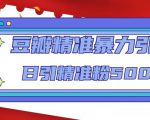 豆瓣精准暴力引流，日引精准粉500+【12课时】-吗喽副业资源站
