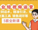 5套·美业短视频运营课从场景到话术·精准引流·吸金文案工具·销售闭环等-吗喽副业资源站