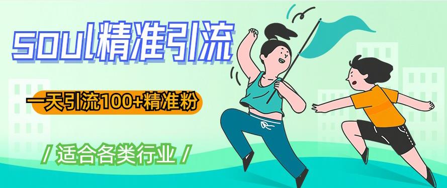 soul精准引流系列课程，一天引流100+精准粉，适合各类行业-吗喽副业资源站