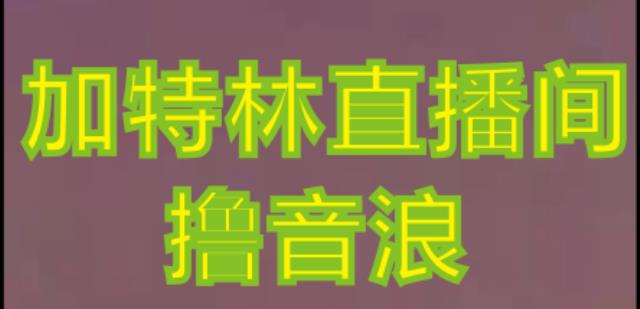 抖音加特林直播间搭建技术，抖音0粉开播，暴力撸音浪，2023新口子，每天800+【素材+详细教程】-吗喽副业资源站