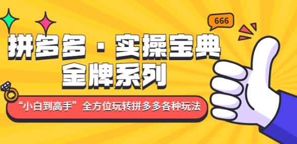 拼多多·实操宝典：金牌系列“小白到高手”带你全方位玩转拼多多各种玩法-吗喽副业资源站