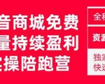 抖音商城搜索持续盈利陪跑成长营，抖音商城搜索从0-1、从1到10的全面解决方案-吗喽副业资源站