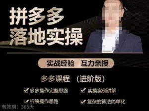 拼多多实战篇·落地实操:多多操作完整思路+实操案例讲解+拆解操作思路+复杂的算法简单化-吗喽副业资源站