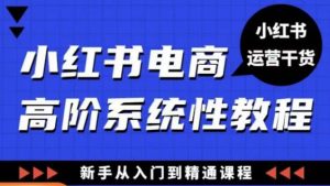 小红书电商高阶系统教程,新手从入门到精通系统课-吗喽副业资源站