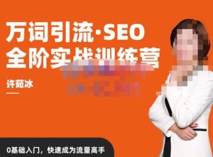 许茹冰·万词引流-SEO全阶实战训练营，0基础入门，快速成为流量高手-吗喽副业资源站