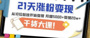 21天精准涨粉变现干货大课：从10位粉丝开始变现月增5000+变现20w+-吗喽副业资源站