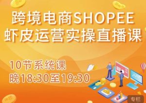 跨境电商Shopee虾皮运营实操直播课，从零开始学，入门到精通（10节系统课）-吗喽副业资源站