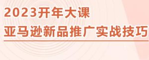 2023亚马逊新品推广实战技巧，线下百万美金课程的精简版，简单粗暴可复制，实操性强的推广手段-吗喽副业资源站