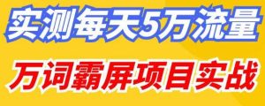 百度万词霸屏实操项目引流课，30天霸屏10万关键词-吗喽副业资源站