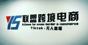 YS联盟·Tiktok无人直播，不出镜不剪辑不拍摄不发货无售后的跨境短视频躺赚玩法-吗喽副业资源站