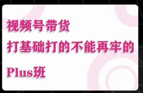 大播汇·视频号带货Puls班，视频号底层逻辑，起号自然流鱼塘等玩法-吗喽副业资源站