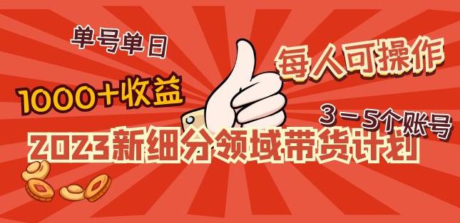 2023新细分领域带货计划：单号单日1000+收益不难，每人可操作3-5个账号-吗喽副业资源站