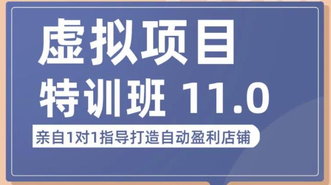 陆明明·虚拟项目特训班（10.0+11.0），0成本获取虚拟素材，0基础打造自动盈利店铺-吗喽副业资源站