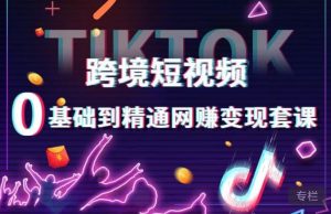跨境短视频TIKTOK 0基础到精通网赚变现套课,跨境短视频独立站带货变现技巧-吗喽副业资源站