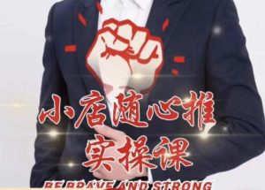 随心推线上课，小店随心推的投放逻辑，投放技巧，快速打标签-吗喽副业资源站