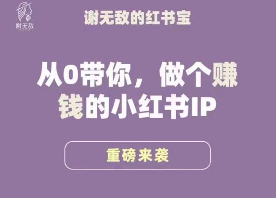 谢无敌·小红书运营大宝典，从0带你做个赚钱的小红书IP-吗喽副业资源站