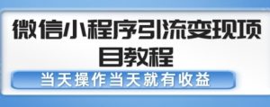 微信小程序引流变现项目教程，当天操作当天就有收益，变现不再是难事-吗喽副业资源站