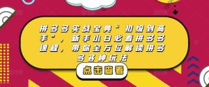 拼多多实战宝典“初级到高手”,新手小白必看拼多多课程,带你全方位解读拼多多各种玩法-吗喽副业资源站