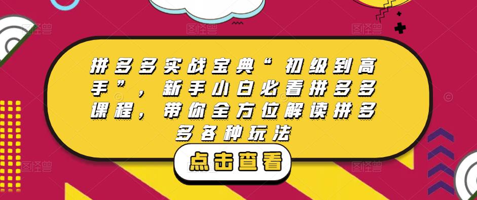 拼多多实战宝典“初级到高手”，新手小白必看拼多多课程，带你全方位解读拼多多各种玩法-吗喽副业资源站