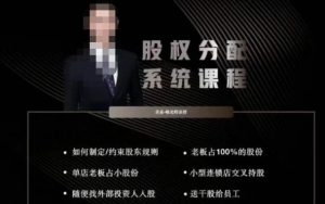 韩老师聊美业-美业股权分配系统课程,如何制定约束股东规则+老板占100%的股份+单店老板占小股份等-吗喽副业资源站