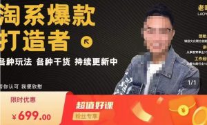 锋投老叶全店动销,淘系干货汇总,各种玩法,淘系爆款打造者-吗喽副业资源站