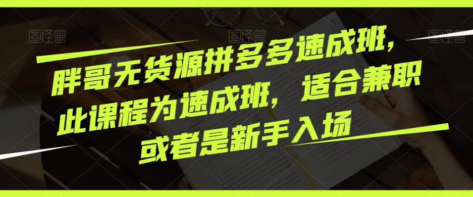胖哥无货源拼多多速成班，此课程为速成班，适合兼职或者是新手入场-吗喽副业资源站