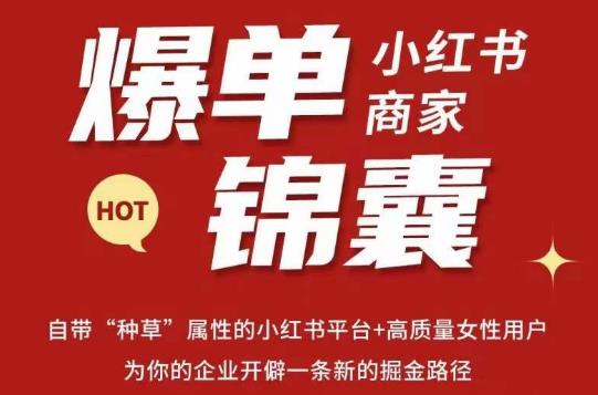 无畏·小红书商家爆单锦囊，掌握小红书各大规则，快速精准抢占行业和市场-吗喽副业资源站