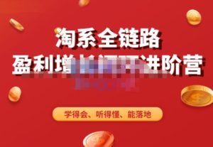 淘系全链路盈利增长闭环进阶营,融合全店动销,学得会、听得懂、能落地!-吗喽副业资源站