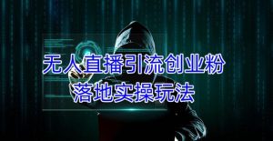 外面收费3980的无人直播引流创业粉落地实操玩法，单日引100+精准创业粉-吗喽副业资源站