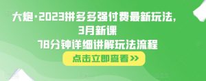 大炮·2023拼多多强付费最新玩法，3月新课​78分钟详细讲解玩法流程-吗喽副业资源站