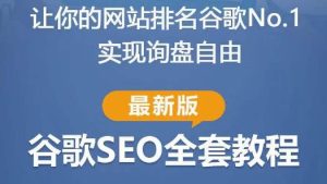谷歌SEO实战教程：如何让你的网站在谷歌排名第一，内容从入门到高阶，适合个人及团队-吗喽副业资源站