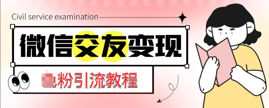 微信交友变现项目，吸引全网LSP男粉精准变现，小白也能轻松上手，日入500+-吗喽副业资源站