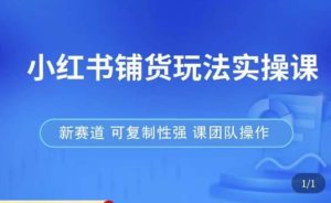 小红书铺货玩法实操课，流量大，竞争小，非常好做，新赛道，可复制性强，可团队操作-吗喽副业资源站
