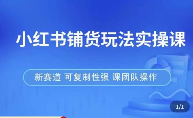 小红书铺货玩法实操课，流量大，竞争小，非常好做，新赛道，可复制性强，可团队操作-吗喽副业资源站