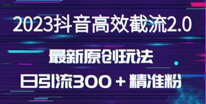 日引300＋创业粉，独家抖音高效截流2.0玩法（价值1280）-吗喽副业资源站