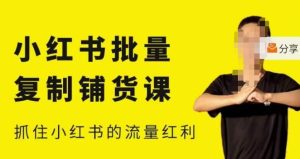张宾·小红书批量复制铺货课,小红书0-1快速起号变现玩法,抓住小红书的流量红利(更新2023年3月)-吗喽副业资源站