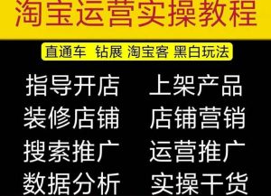 2023淘宝开店教程0基础到高级全套视频网店电商运营培训教学课程-吗喽副业资源站