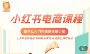 小红书电商新手入门到精通实操课，从入门到精通做爆款笔记，开店运营-吗喽副业资源站