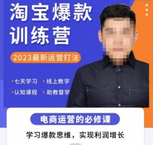 爱上黄昏·淘宝爆款训练营，2023最新运营打法，学习爆款思维，实现利润增长-吗喽副业资源站