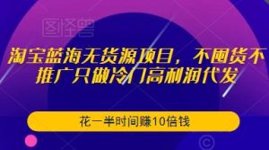 淘宝蓝海无货源项目,不囤货不推广只做冷门高利润代发,花一半时间赚10倍钱-吗喽副业资源站