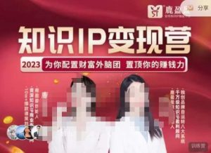 鹿盈盈-知识IP变现实操营,普通人可复制的知识产品落地实操课,带你打通知识IP变现底层逻辑-吗喽副业资源站