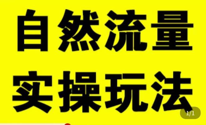 拼多多自然流量天花板，拼多多自然流的实操玩法，自然流量是怎么来的，如何开车带来自然流等知识-吗喽副业资源站