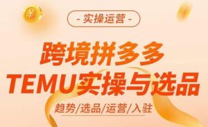跨境拼多多TEMU实操与选品，​掌握平台运营方法技巧，选品避坑12条标准，爆款的底层思路等-吗喽副业资源站