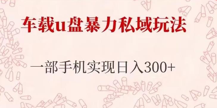 车载u盘暴力私域玩法，长期项目，仅需一部手机实现日入300+-吗喽副业资源站