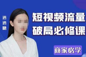 2023最新透糖短视频流量破局必修课——商家必学-吗喽副业资源站