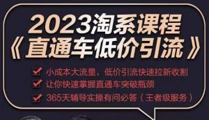 2023直通车低价引流玩法课程，小成本大流量，低价引流快速拉新收割，让你快速掌握直通车突破瓶颈-吗喽副业资源站