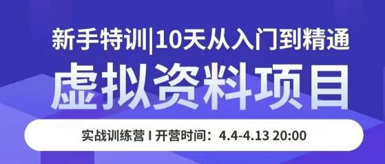 虚拟资料项目新手特训，10天从入门到精通，保姆级实操教学-吗喽副业资源站