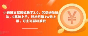 小说推文保姆式教学2.0，另类进阶玩法，0基础上手，轻松月撸1w无上限，可主可副可兼职-吗喽副业资源站